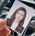 member face