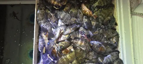 모임 대표 이미지