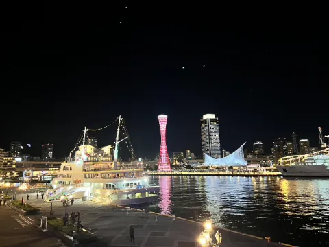 정모 대표 이미지