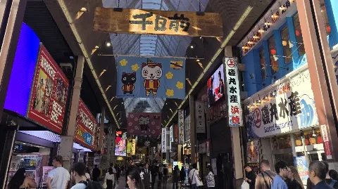 정모 대표 이미지