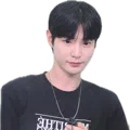 member face