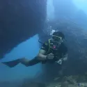 member face