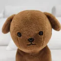 member face