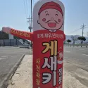 member face
