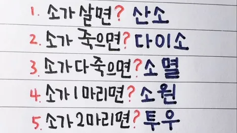 정모 대표 이미지