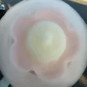 member face