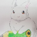 member face