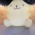 member face