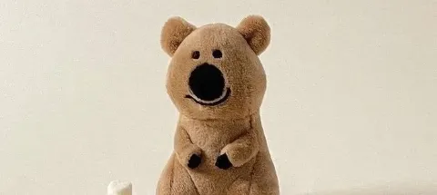 모임 대표 이미지