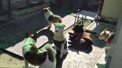 정모 대표 이미지