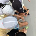 member face