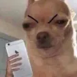 member face