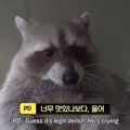 member face