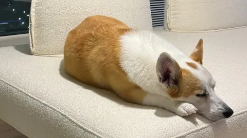 정모 대표 이미지