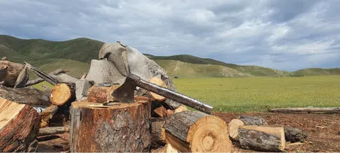 모임 대표 이미지