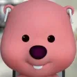 member face