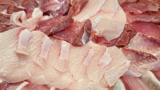 정모 대표 이미지