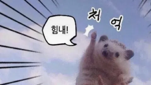 정모 대표 이미지