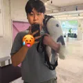 member face