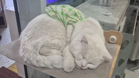정모 대표 이미지