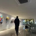 member face