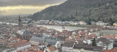 모임 대표 이미지