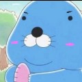 member face