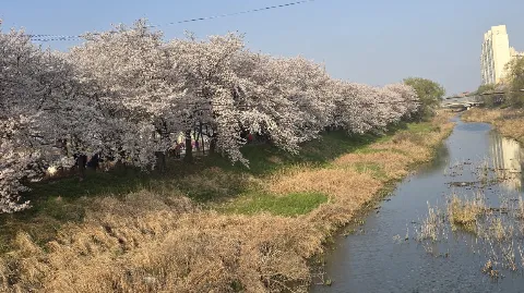 정모 대표 이미지