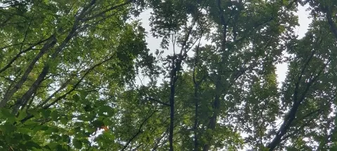 모임 대표 이미지