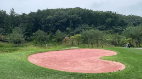 정모 대표 이미지