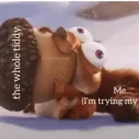 member face