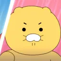 member face