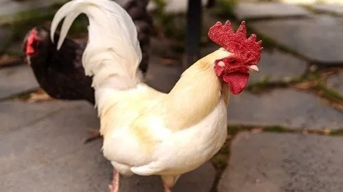 정모 대표 이미지