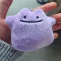 member face