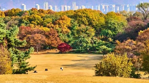 정모 대표 이미지