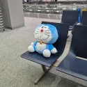 member face