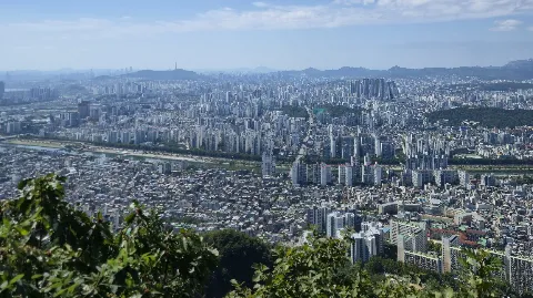 정모 대표 이미지