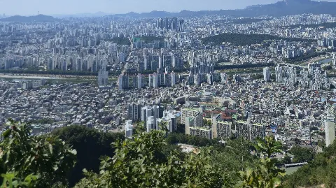 정모 대표 이미지