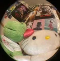 member face