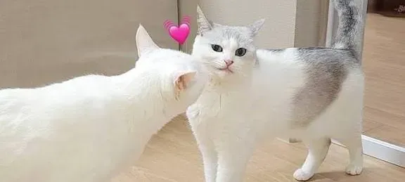 모임 대표 이미지