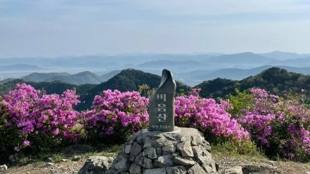 정모 대표 이미지