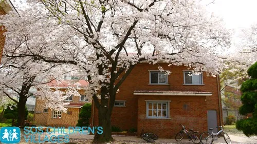 정모 대표 이미지