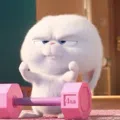member face