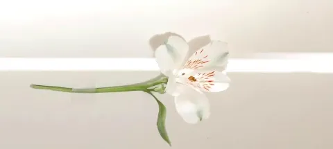 모임 대표 이미지