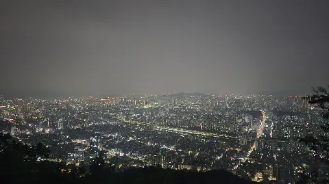 정모 대표 이미지