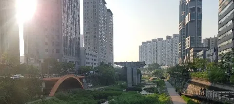모임 대표 이미지