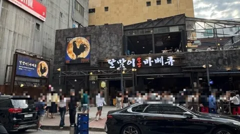 정모 대표 이미지
