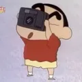 member face