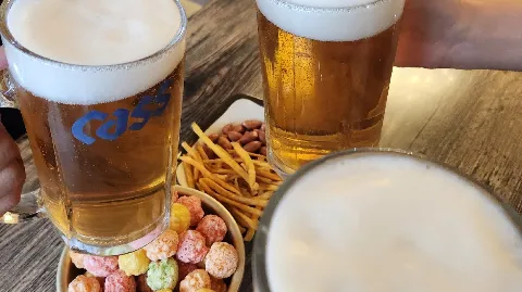 정모 대표 이미지