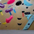 member face